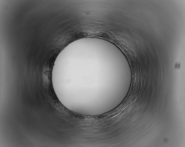 X0000103271346200808291057