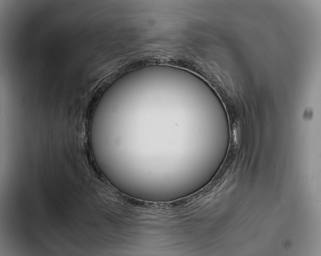 X0000103271347200808291057