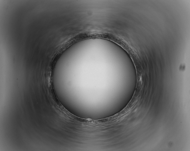 X0000103271348200808291057