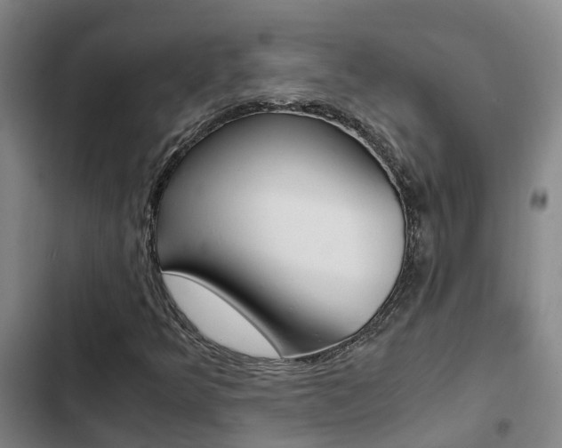 X0000103271349200808291057