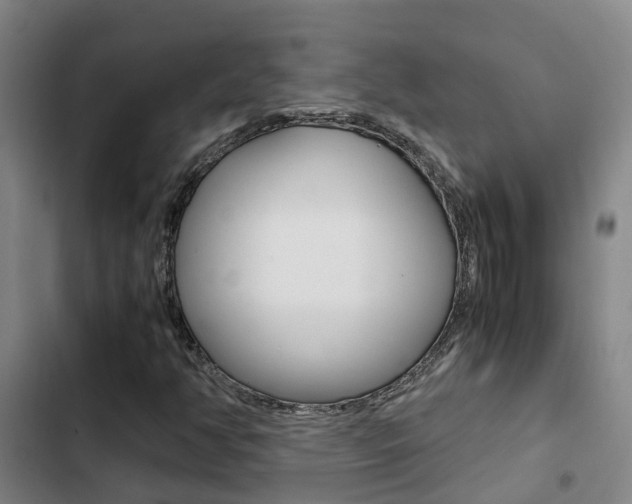 X0000103271350200808291057