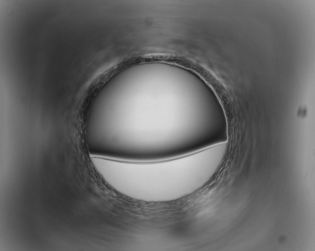 X0000103271351200808291057