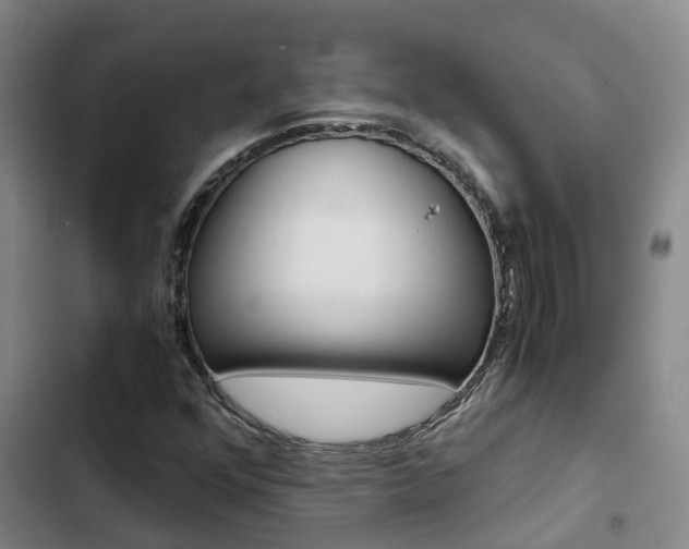 X0000103271352200808291057