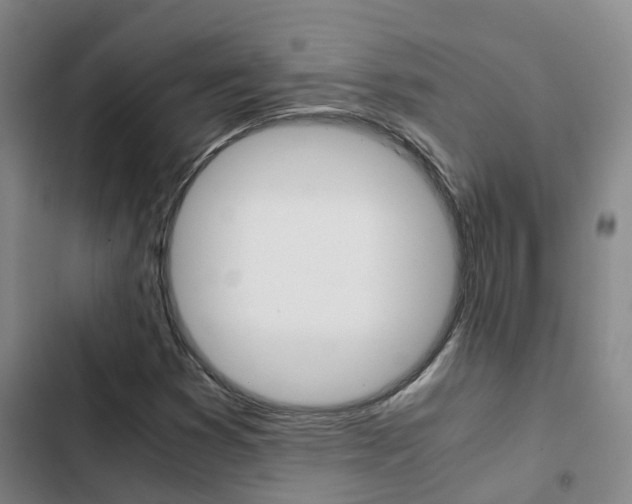 X0000103271353200808291057