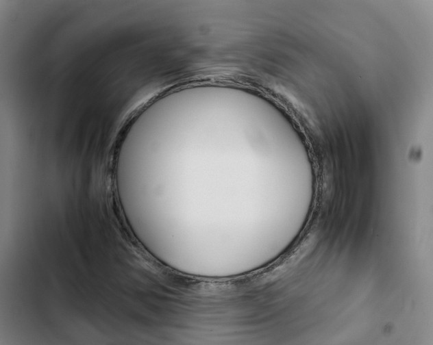 X0000103271354200808291057