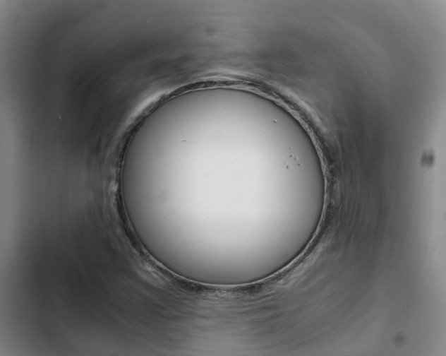 X0000103271355200808291057