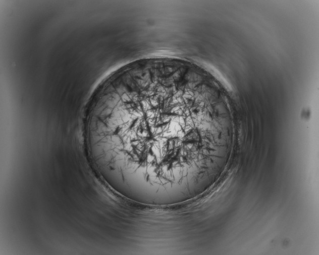 X0000103271356200808291057