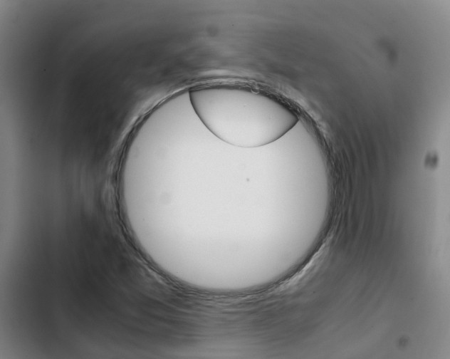X0000103271357200808291057