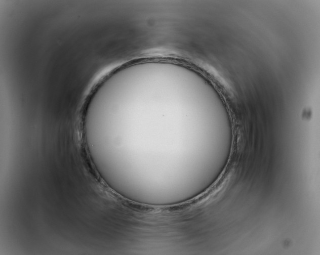 X0000103271358200808291057
