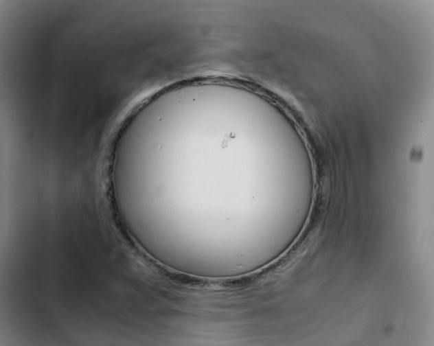 X0000103271359200808291057