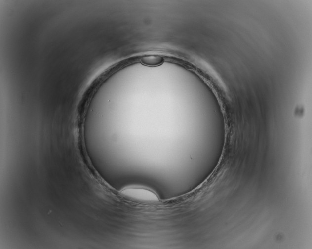 X0000103271360200808291057