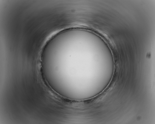 X0000103271363200808291057