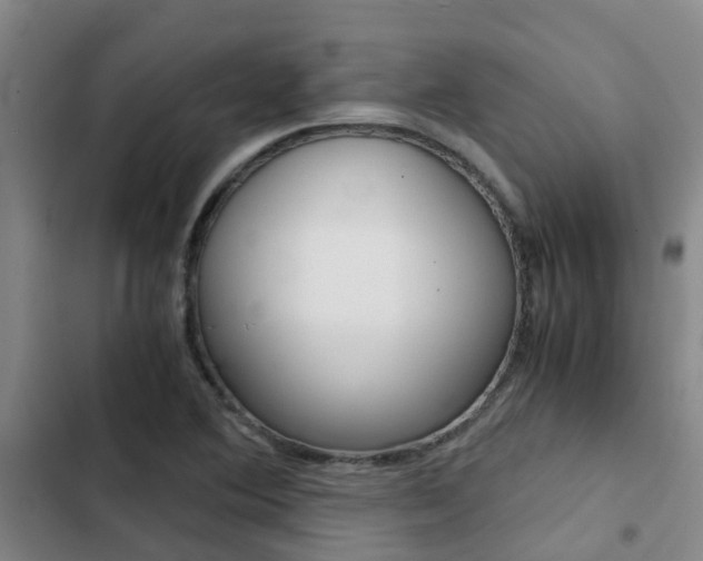 X0000103271364200808291057