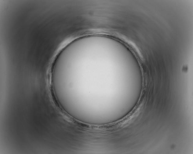 X0000103271365200808291057
