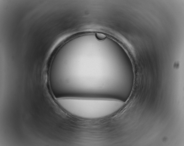 X0000103271368200808291057