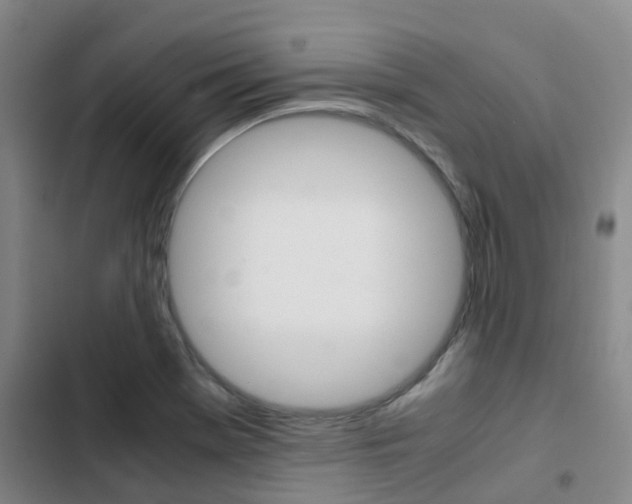 X0000103271369200808291057