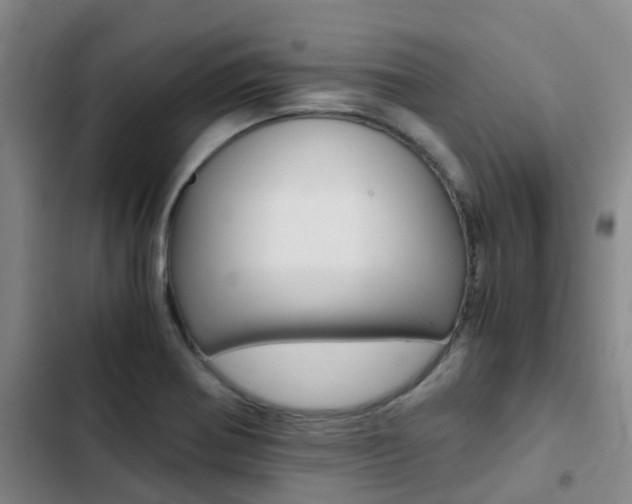 X0000103271370200808291057