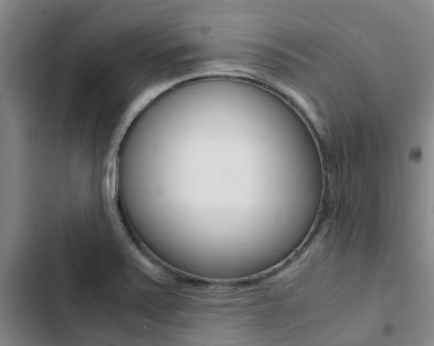 X0000103271371200808291057