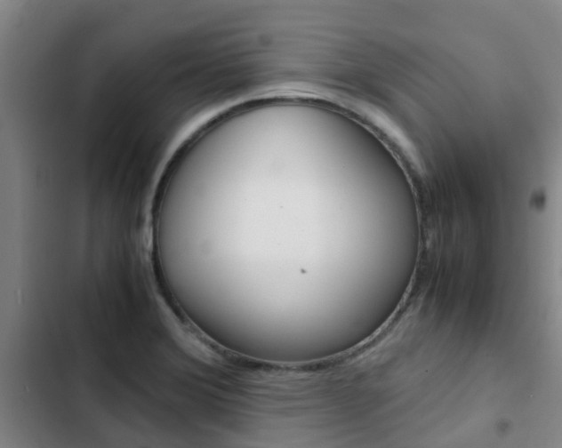 X0000103271372200808291057