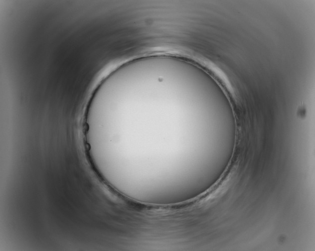 X0000103271373200808291057