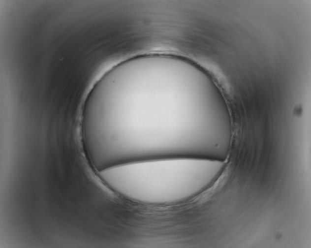X0000103271374200808291057