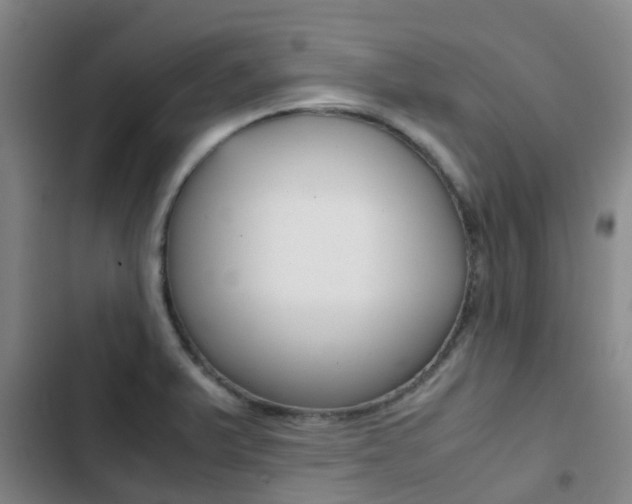 X0000103271375200808291057