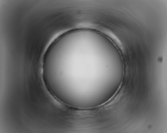 X0000103271376200808291057