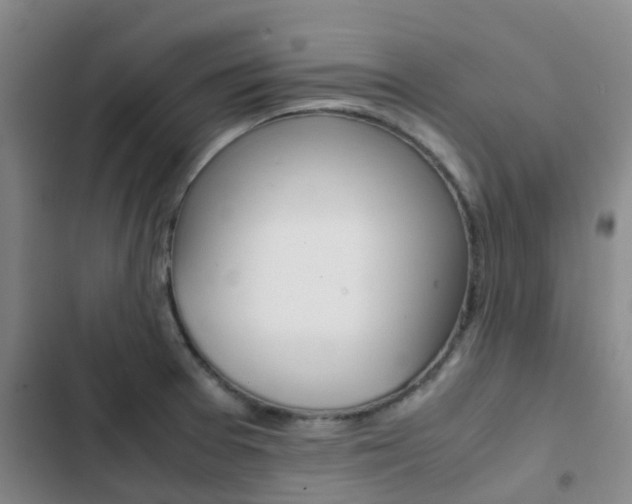 X0000103271377200808291057