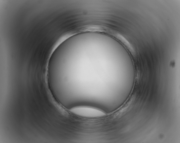 X0000103271378200808291057