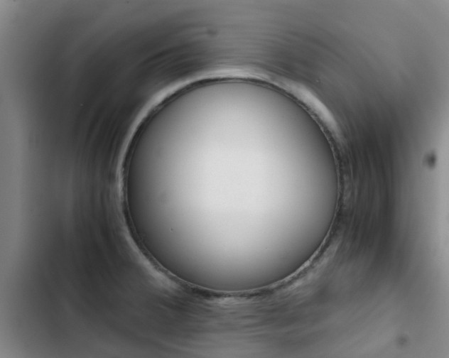 X0000103271380200808291057