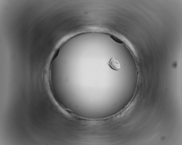 X0000103271381200808291057