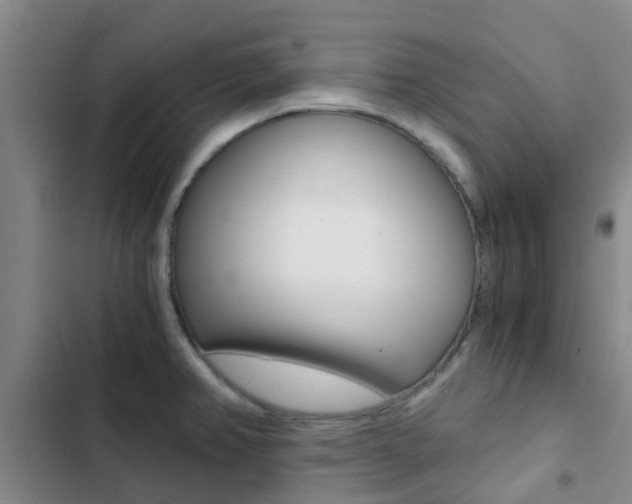 X0000103271382200808291057