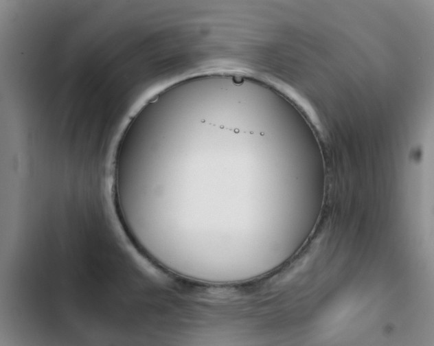 X0000103271383200808291057