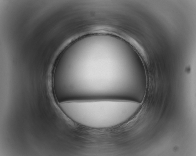 X0000103271384200808291057