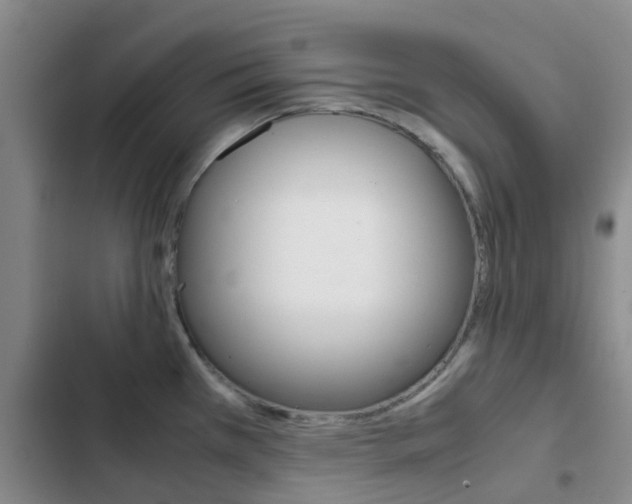 X0000103271385200808291056