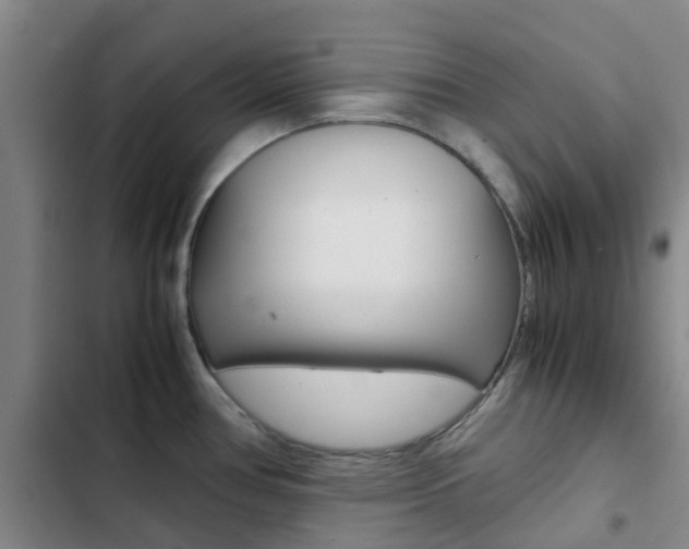 X0000103271386200808291056