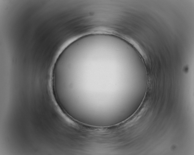 X0000103271387200808291056