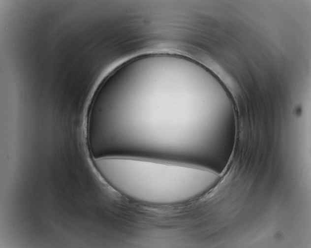 X0000103271388200808291056
