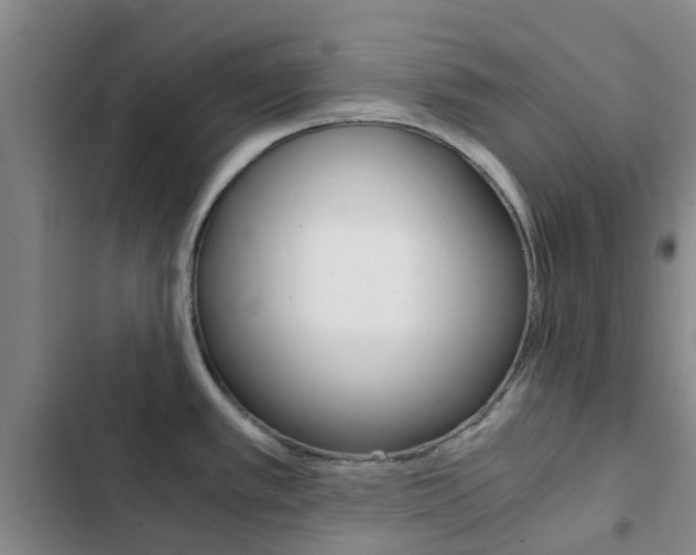 X0000103271389200808291056