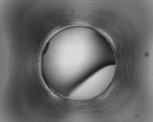 X0000103271391200808291056