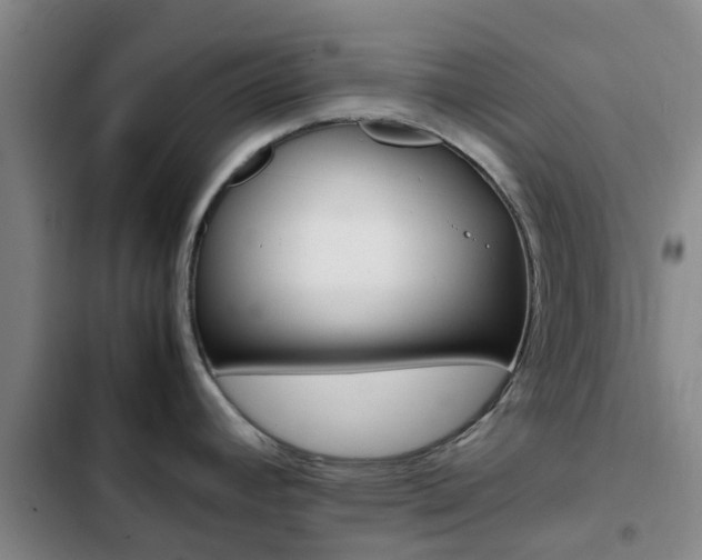 X0000103271392200808291056