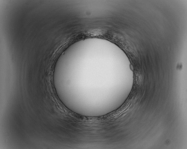 X0000103271393200808291055