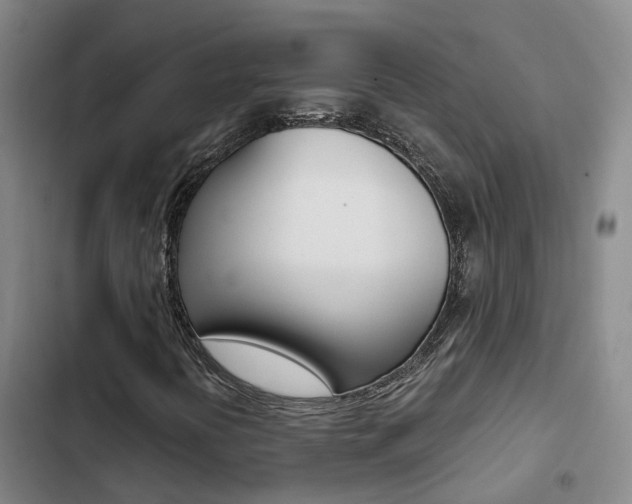 X0000103271394200808291055