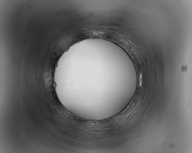 X0000103271395200808291055