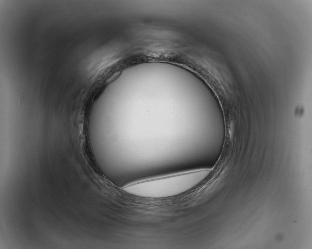 X0000103271396200808291056