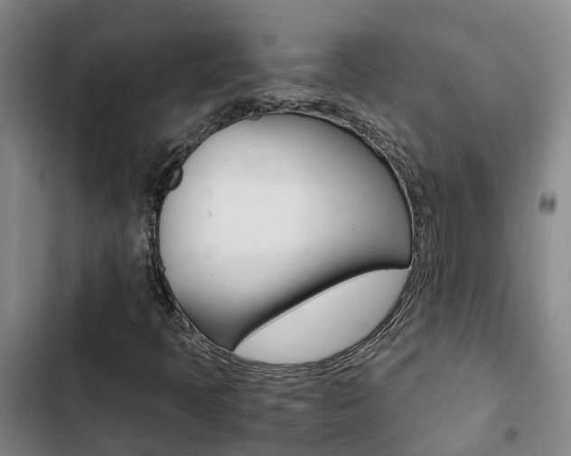 X0000103271397200808291056