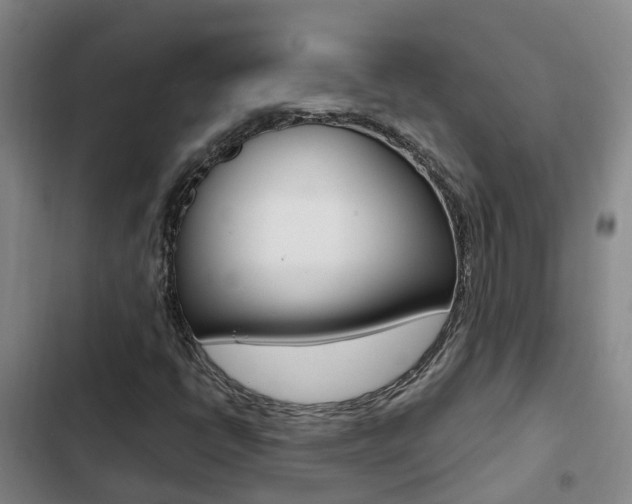 X0000103271398200808291056