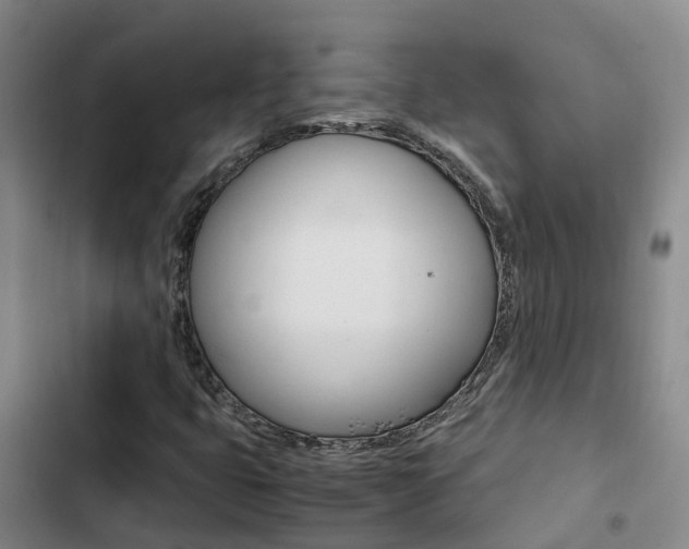 X0000103271399200808291056