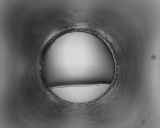 X0000103271400200808291056