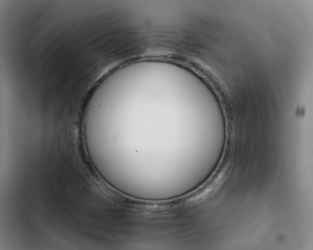 X0000103271401200808291056